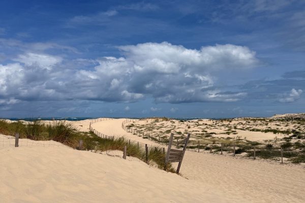 6 Auf dem Weg durch die Dünen zum Plage de la Salie-Nord (Arcachon, Atlantikküste)