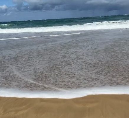 7 Plage de la Salie-Nord